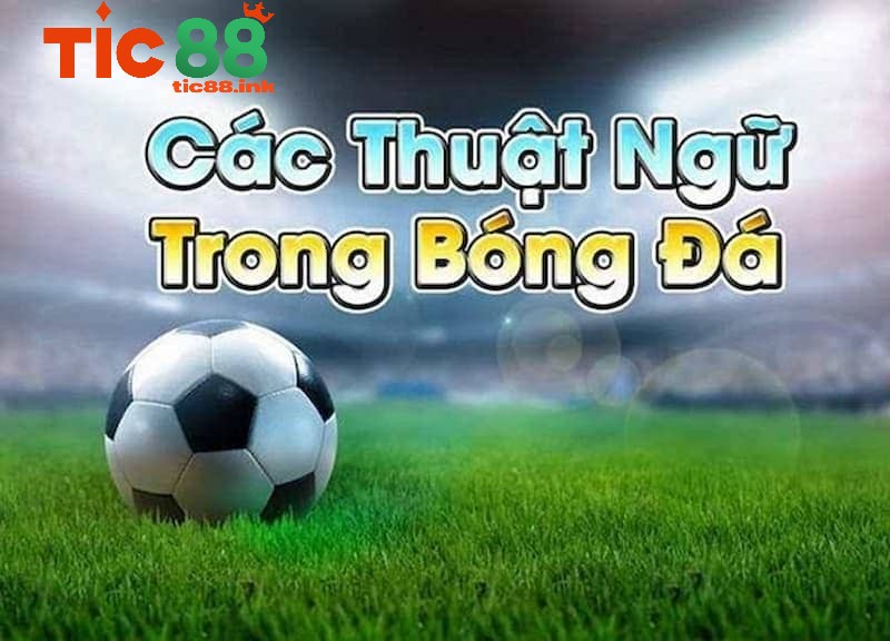 Các thuật ngữ cá độ bóng đá trong kèo châu Á (Asian Handicap)