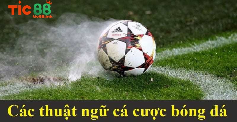 Thuật ngữ cá độ bóng đá trong kèo châu Âu (European Odds)